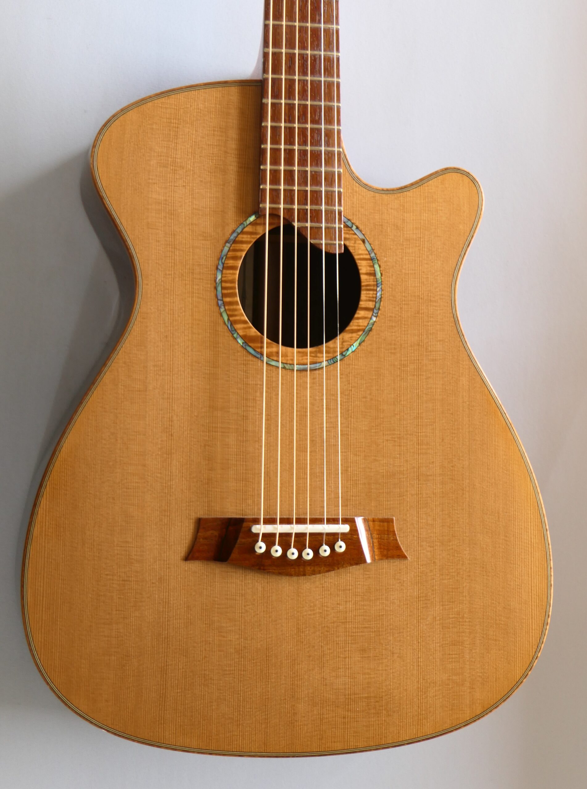 Steel String Guitar Gore Guitars Luthier Custom Guitars