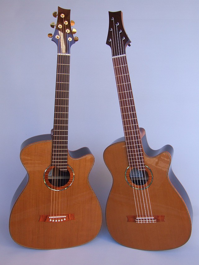 Gore guitars