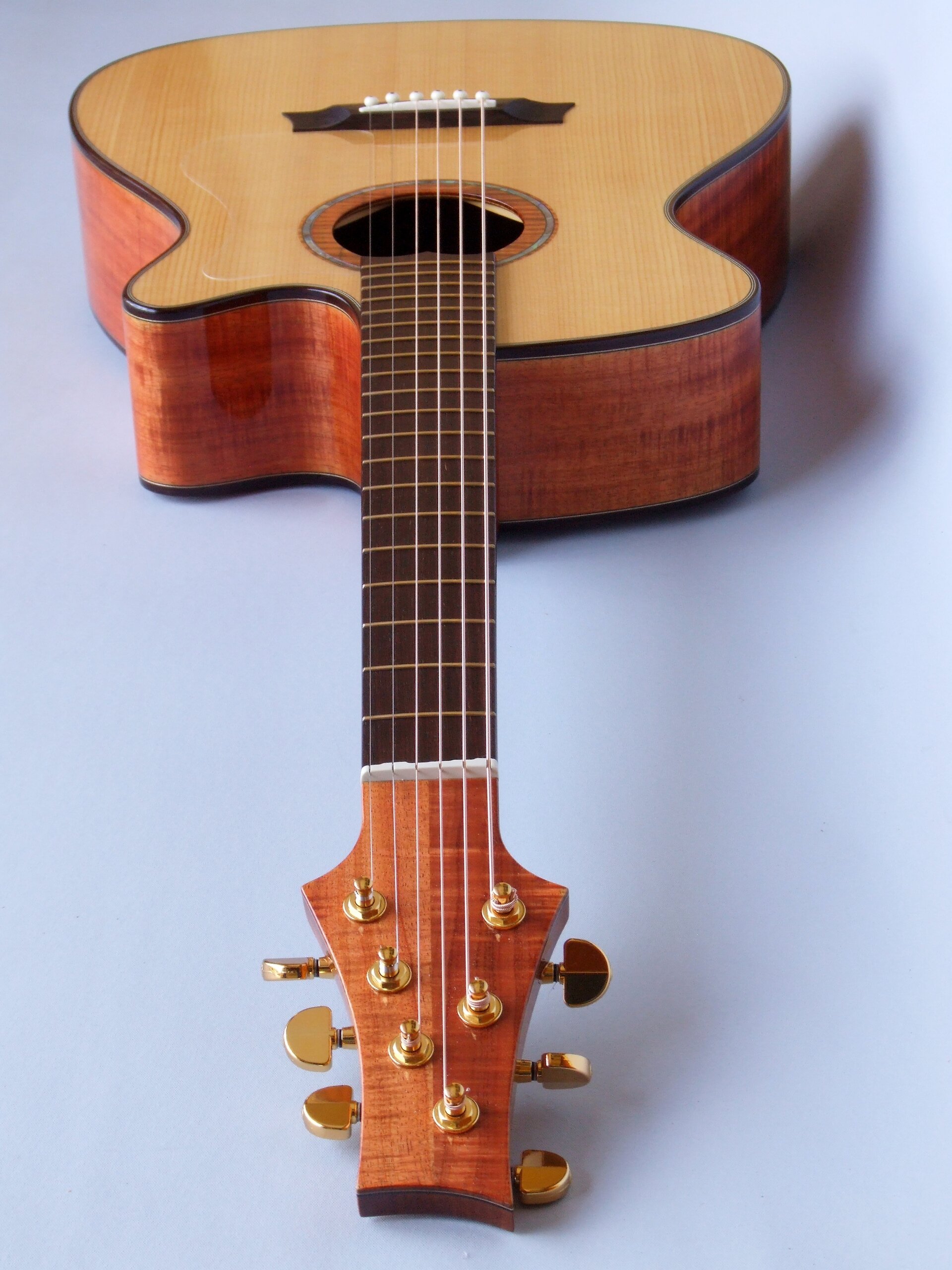 Looking down the neck of a blackwood guitar with rosewood binding