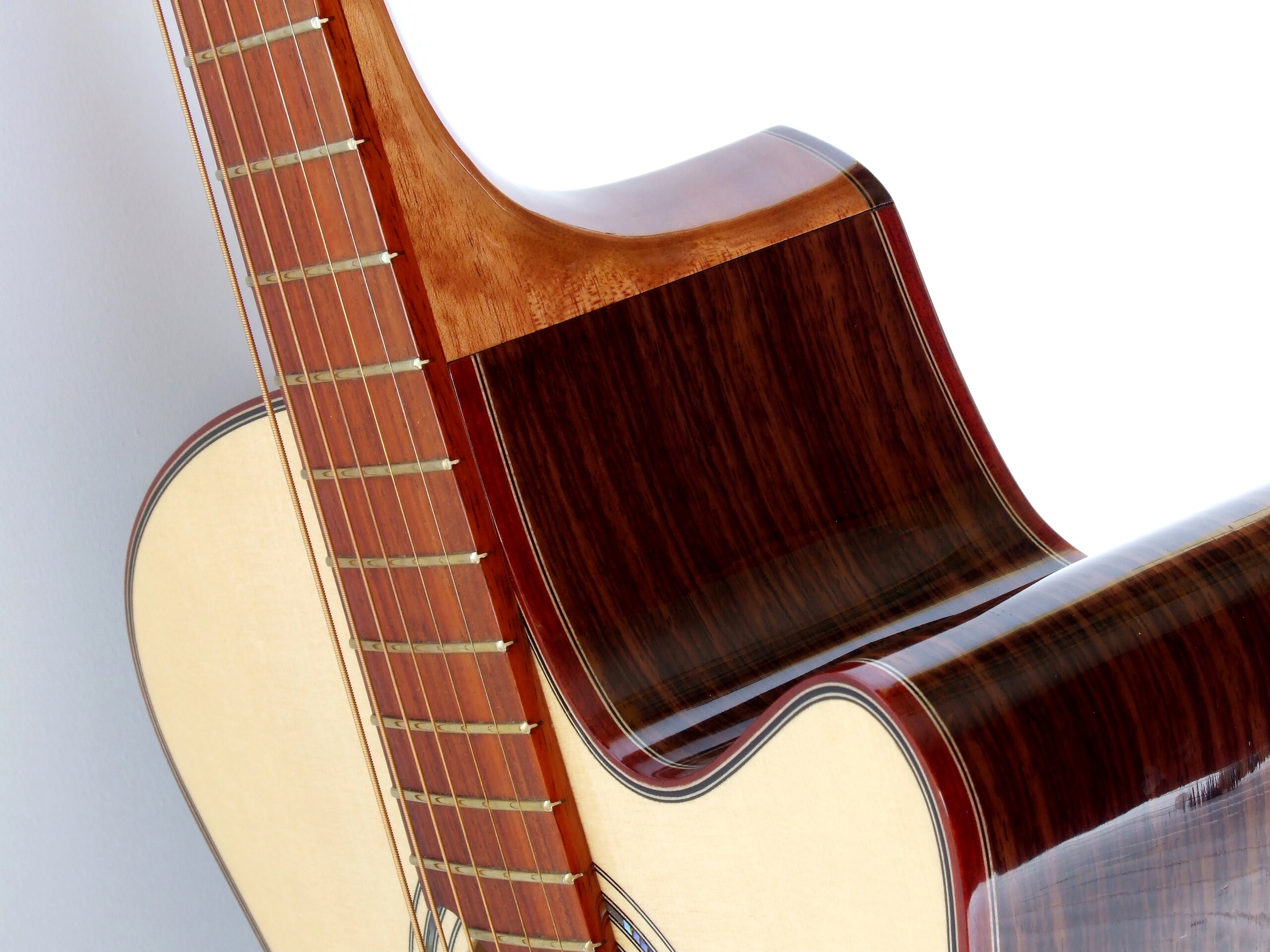 Bloodwood binding around the cutaway of a steel string guitar