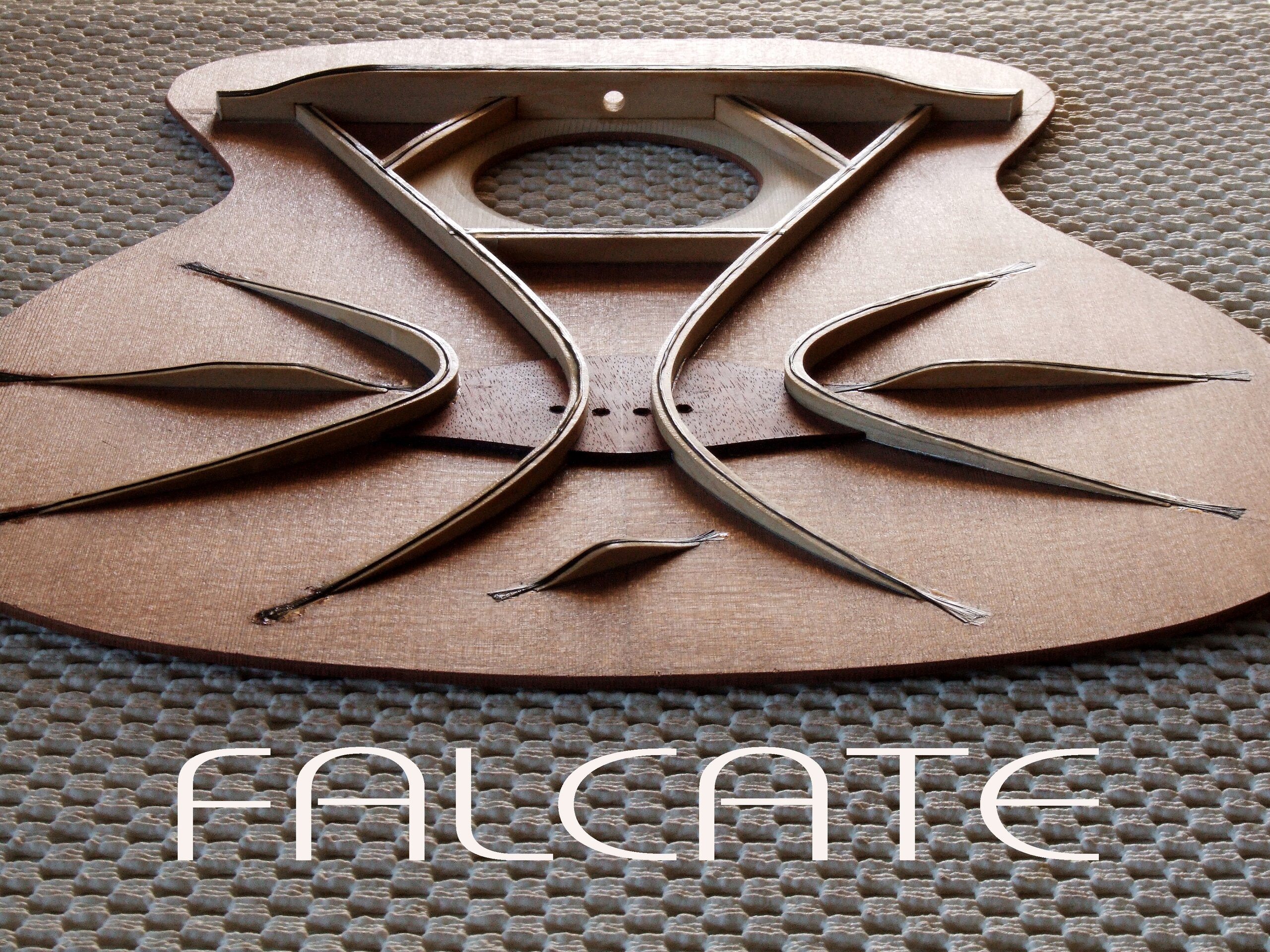 Falcate bracing avatar