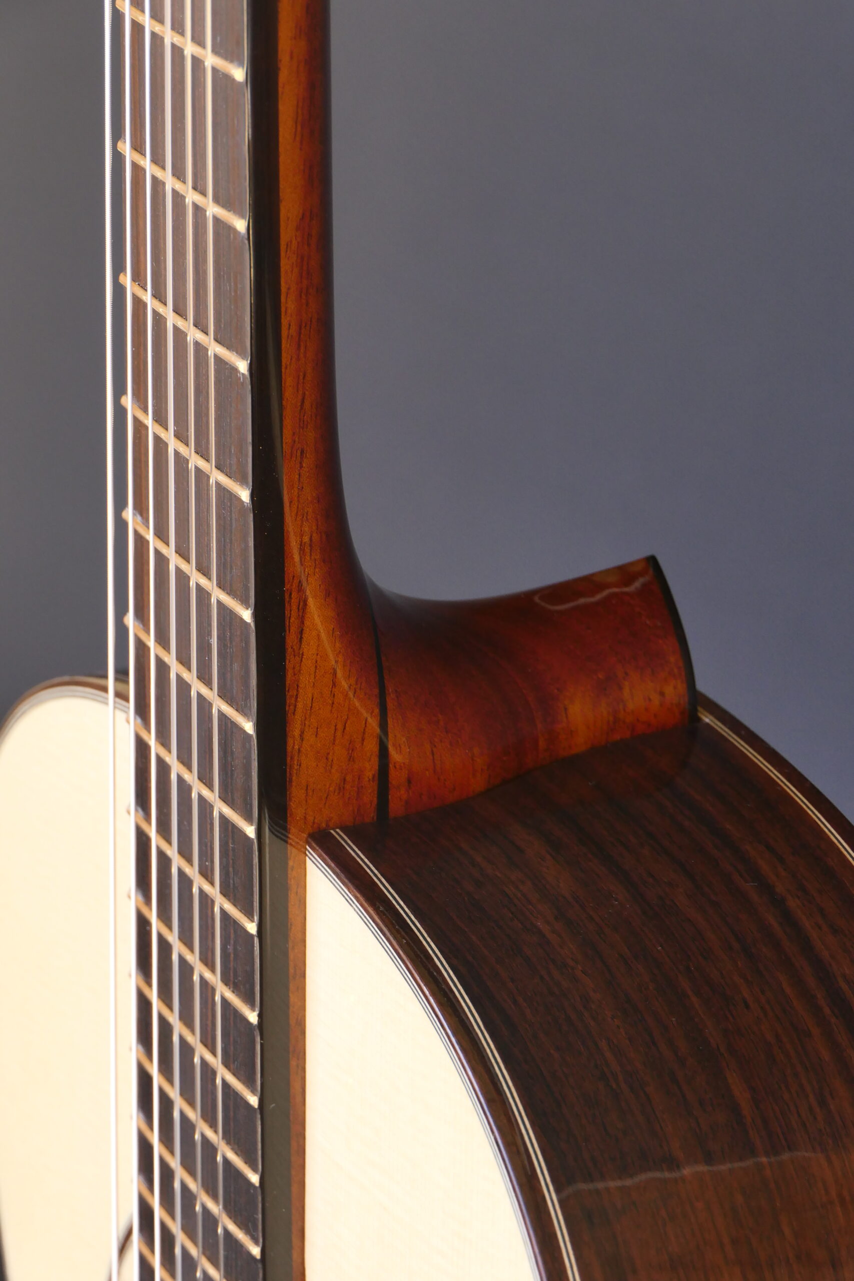 Tilt neck on small body rosewood classical